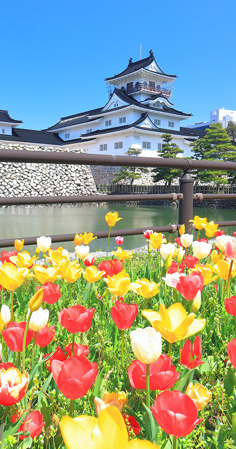 富山県臨床細胞学会